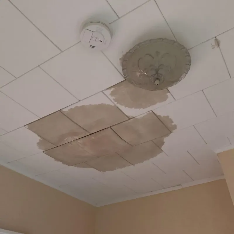 Ceiling Water Damage Repair in Westfield, MA