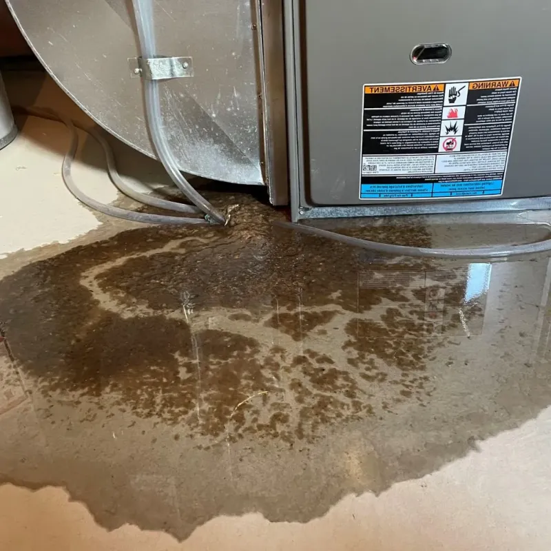 Pipe Burst and Leak Restoration in Westfield, MA